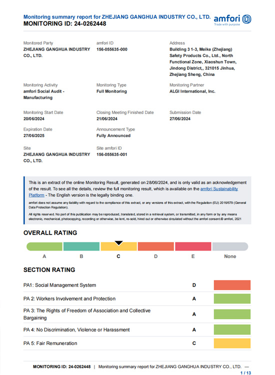 BSCI Report - ZHEJIANG